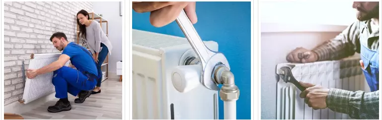 Beyoğlu Petek Temizleme Servisi